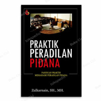 Image of Praktik Peradilan Pidana : panduan praktis memahami peradilan pidana