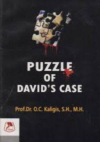 Image of Puzzle Of David's Case